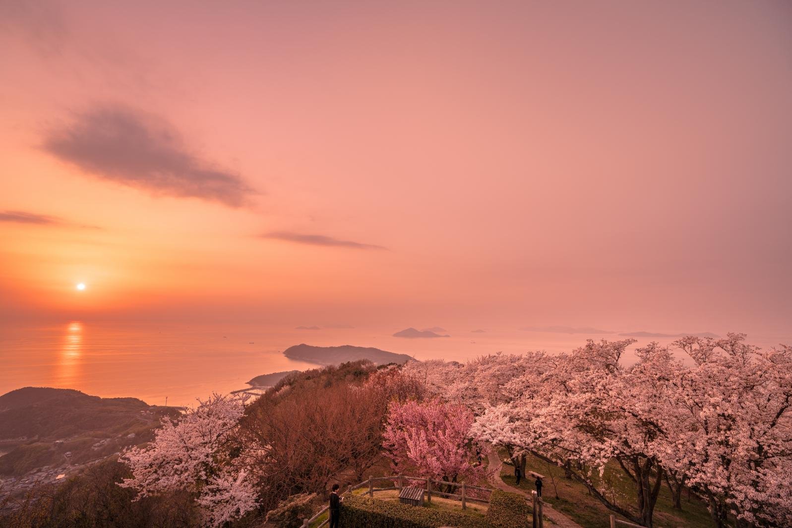 🌊 후나오리 세토 해협 (후나오리 세토) 이미지 7